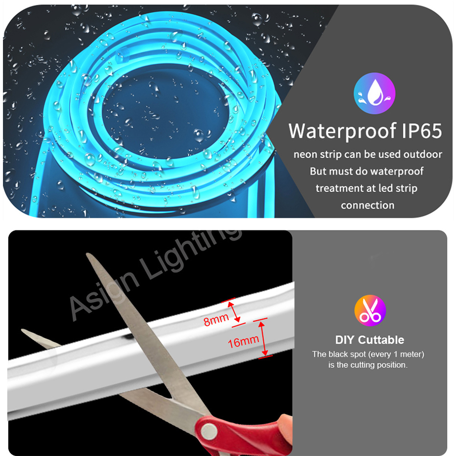 スマートRGB LEDネオンライト EU/UK/AUプラグ  - Smart Garden Lights Uk のレビューと価格