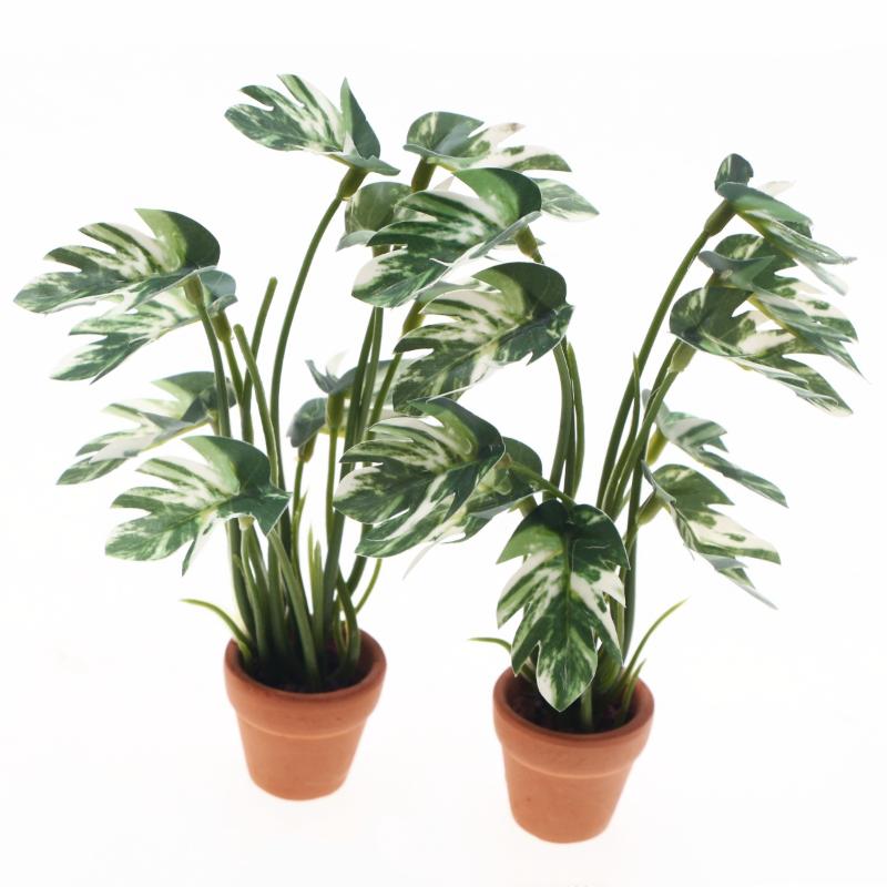 新品。1個入り 1/12 ドールハウス シミュレーション モ - Smart Garden In Home のレビューと価格